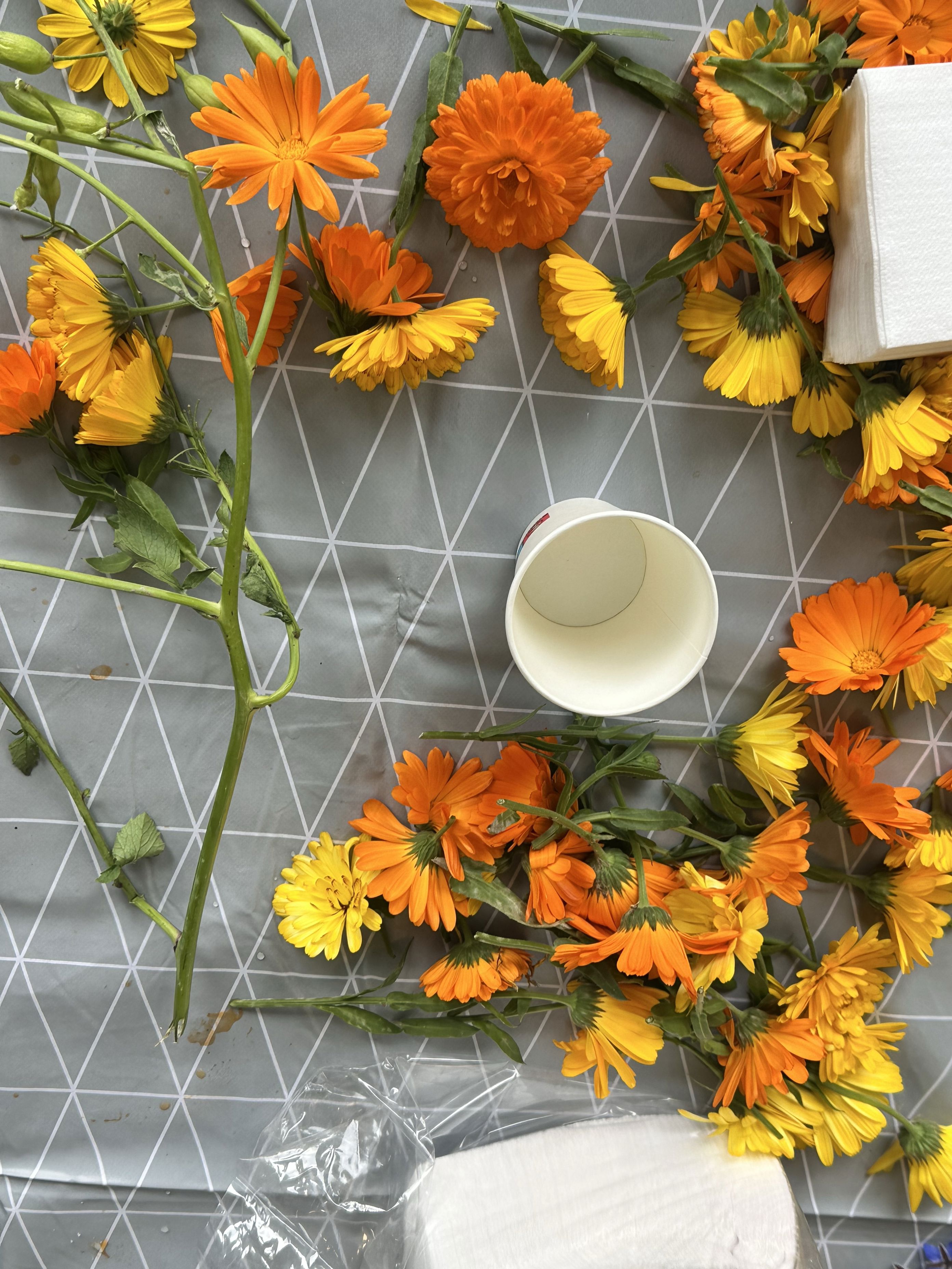en bukett gule blomster en bukett gule blomster