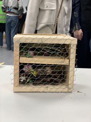 en trekasse med blomster inni