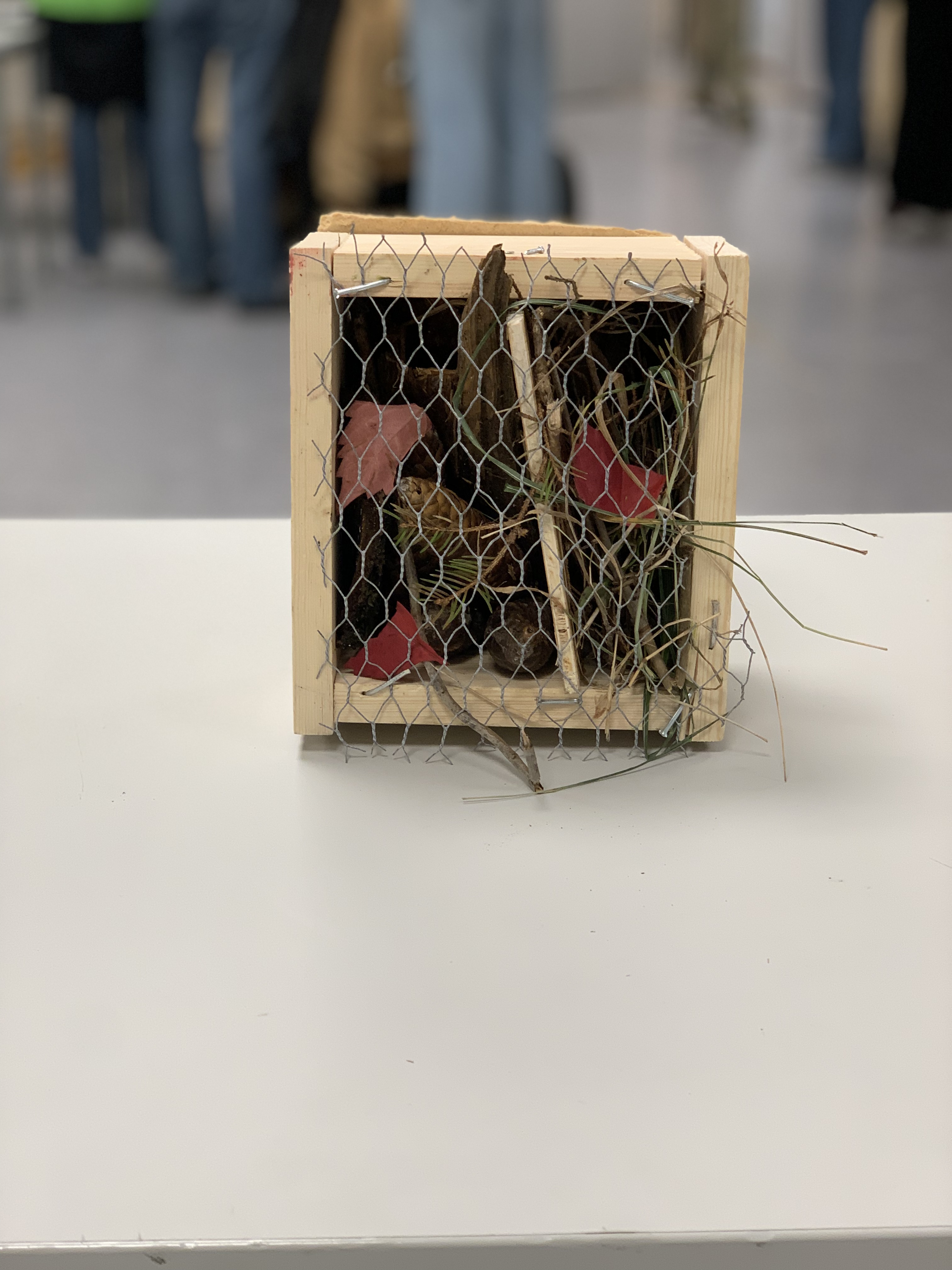 en kurv med et par sko i