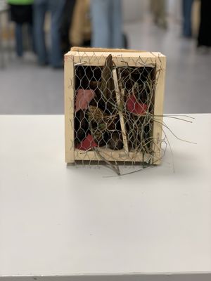 en kurv med et par sko i