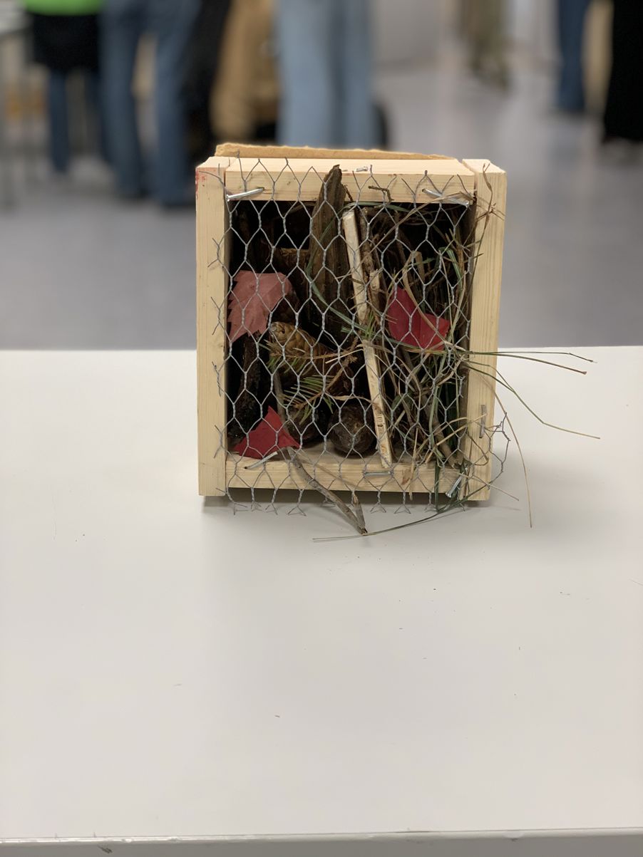 en kurv med et par sko i