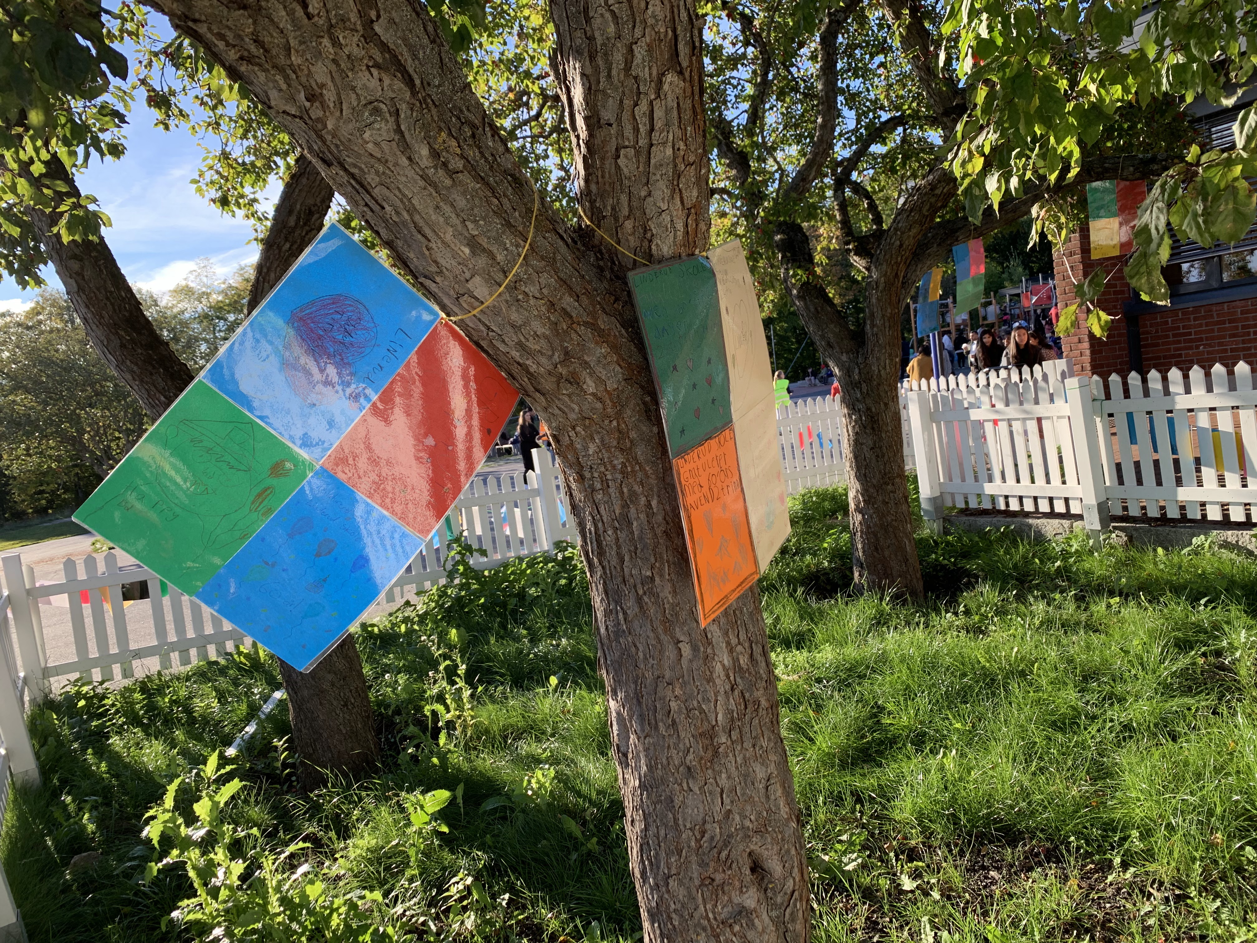 Et flagg fra et tre