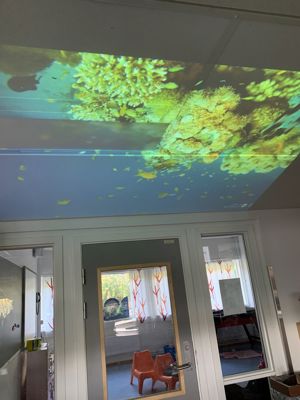 et rom med grønt tak og en dør med vindu og grønt lys
