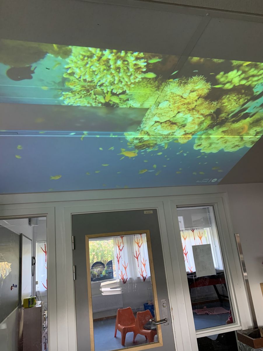 et rom med grønt tak og en dør med vindu og grønt lys