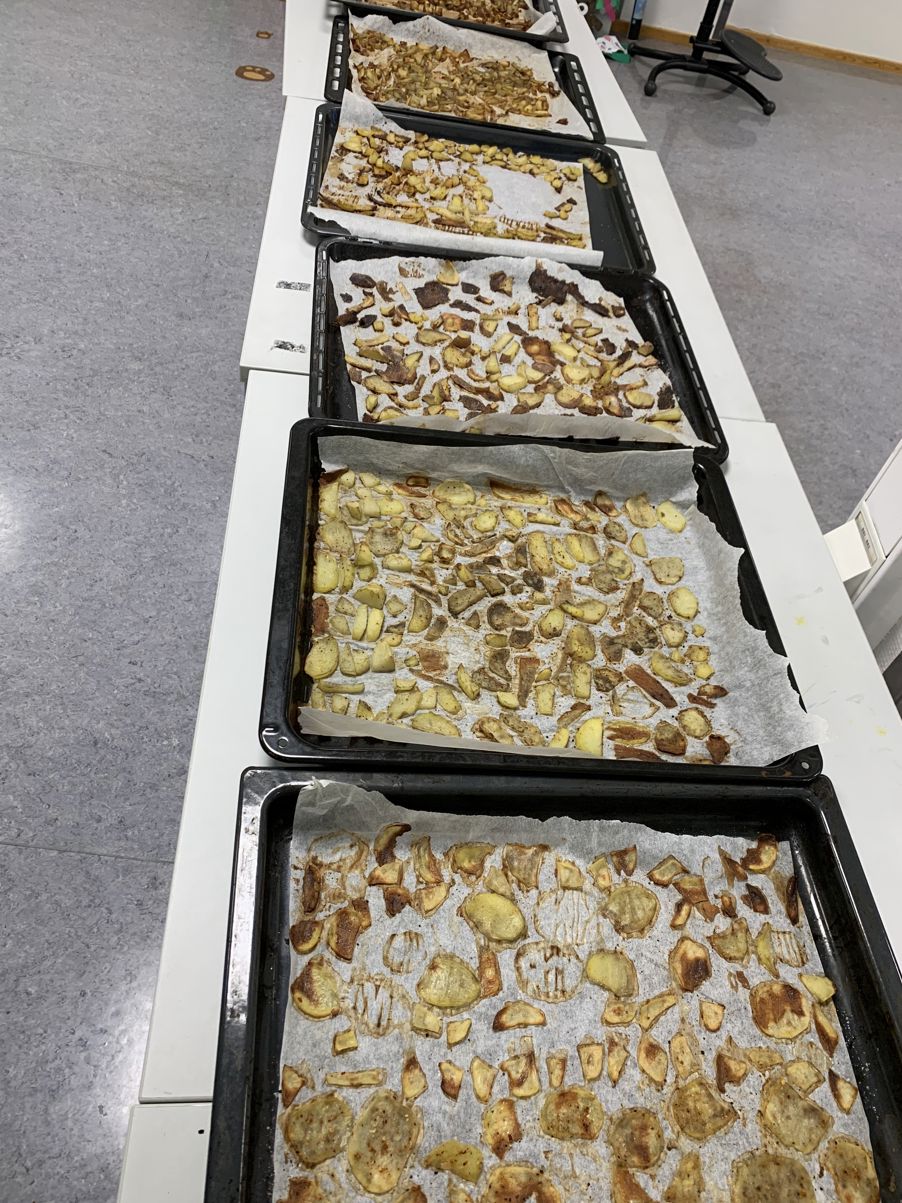 en gruppe brett med mat