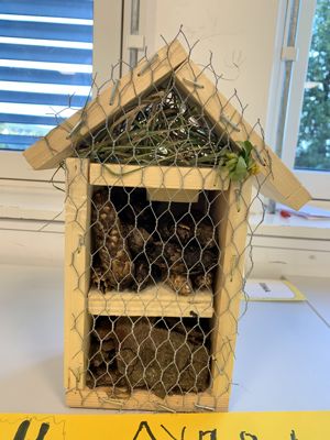 et fuglebur med en fugl inni