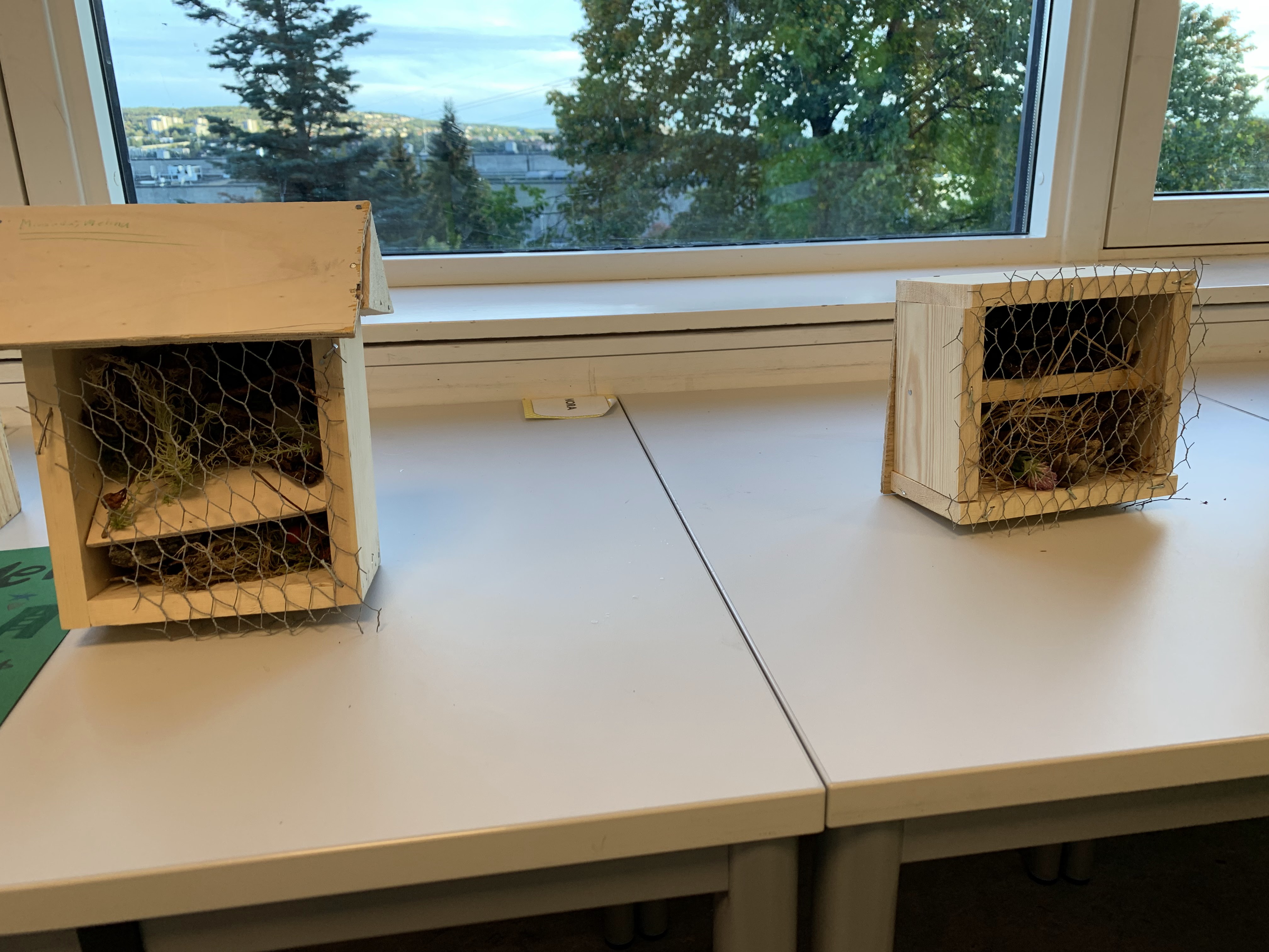 et fuglebur på et bord