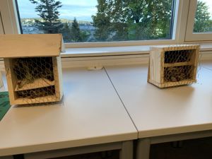 et fuglebur på et bord