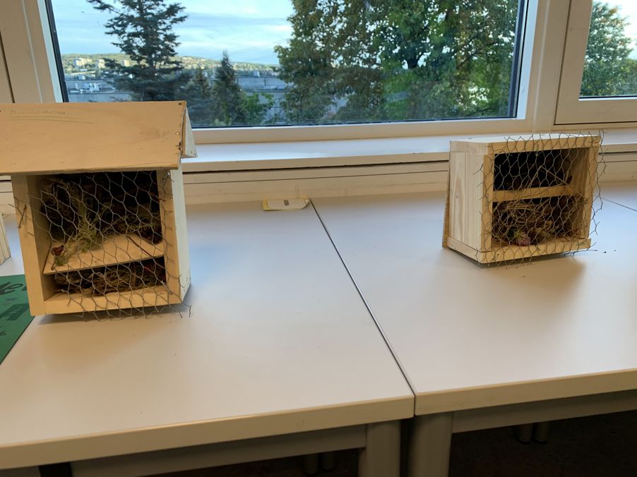 et fuglebur på et bord