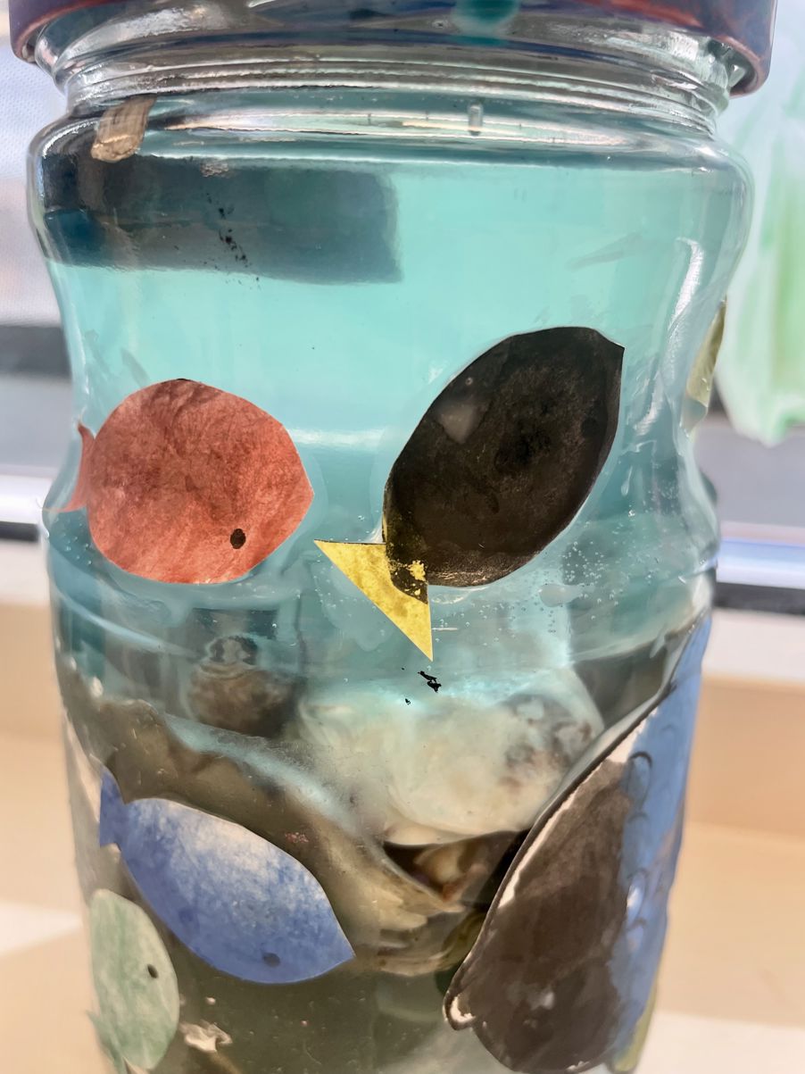 en blå plastbeholder med en svart gjenstand inni