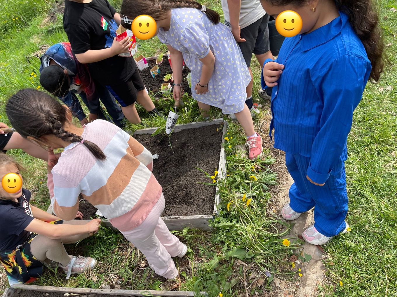 En gruppe barn som planter blomster