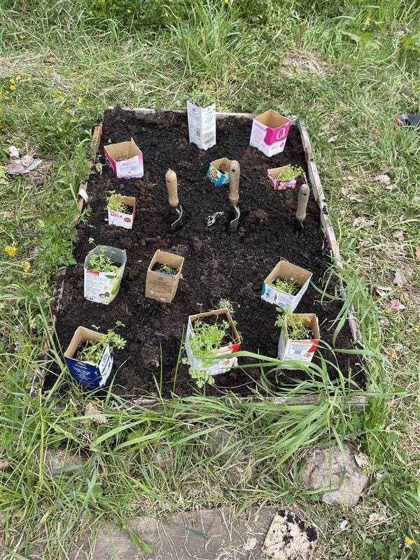 en hund i et *** i bakken med gjenstander i den