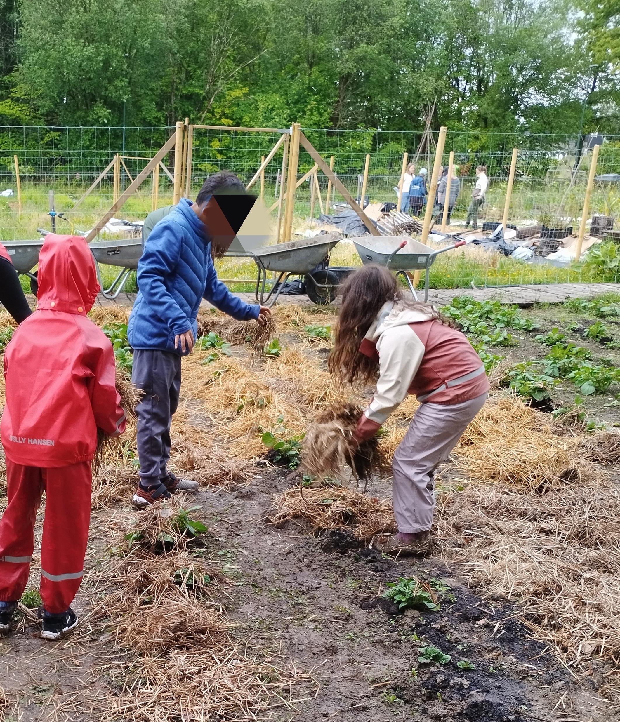 en gruppe mennesker som jobber i en hage