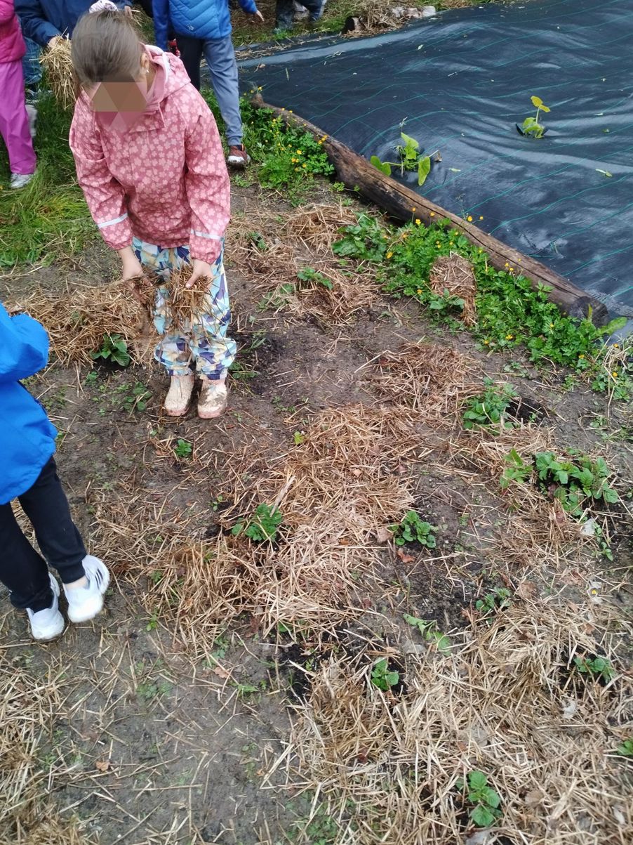 En gruppe mennesker som ser på en hage