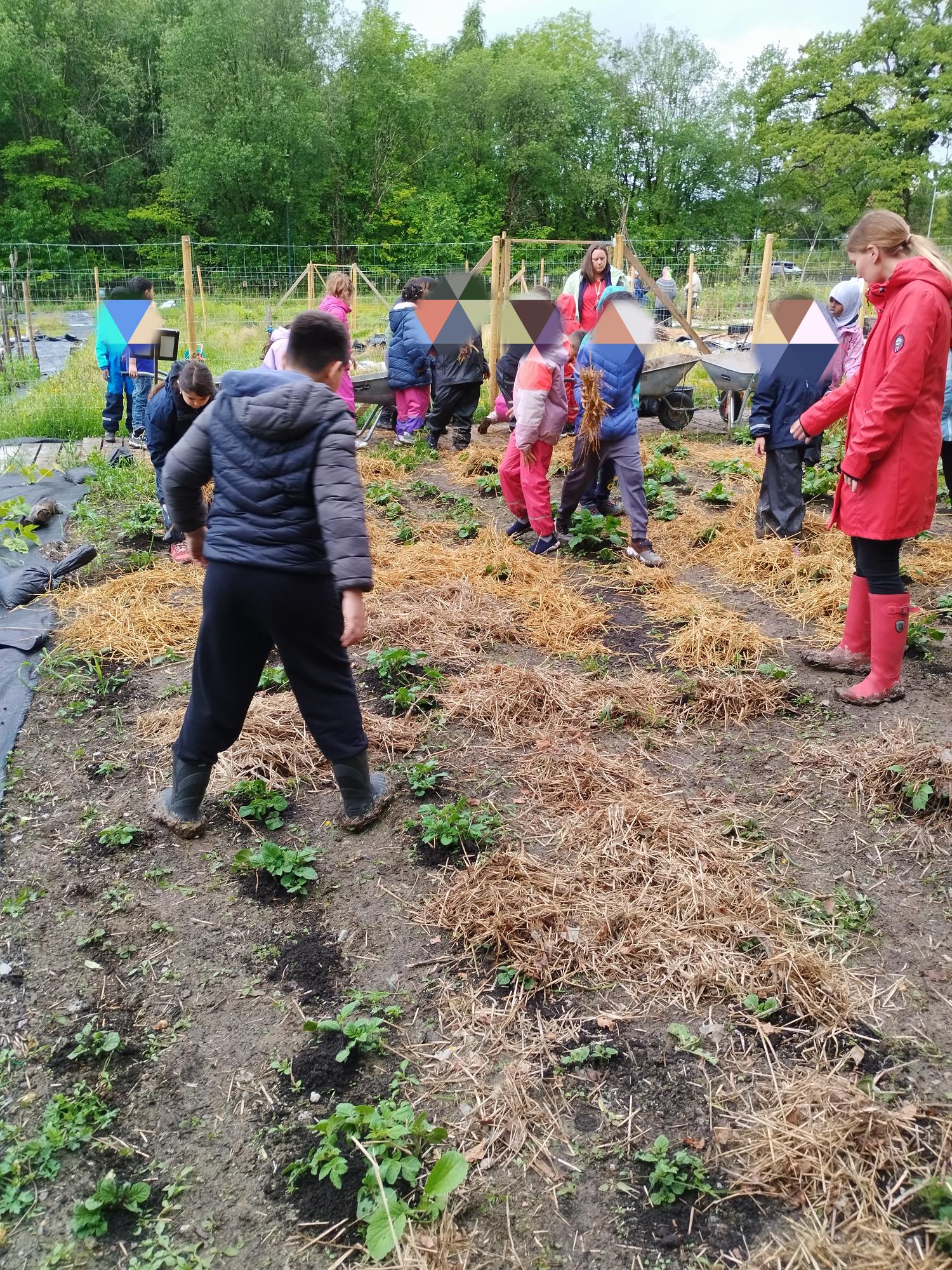 en gruppe mennesker som jobber i en hage