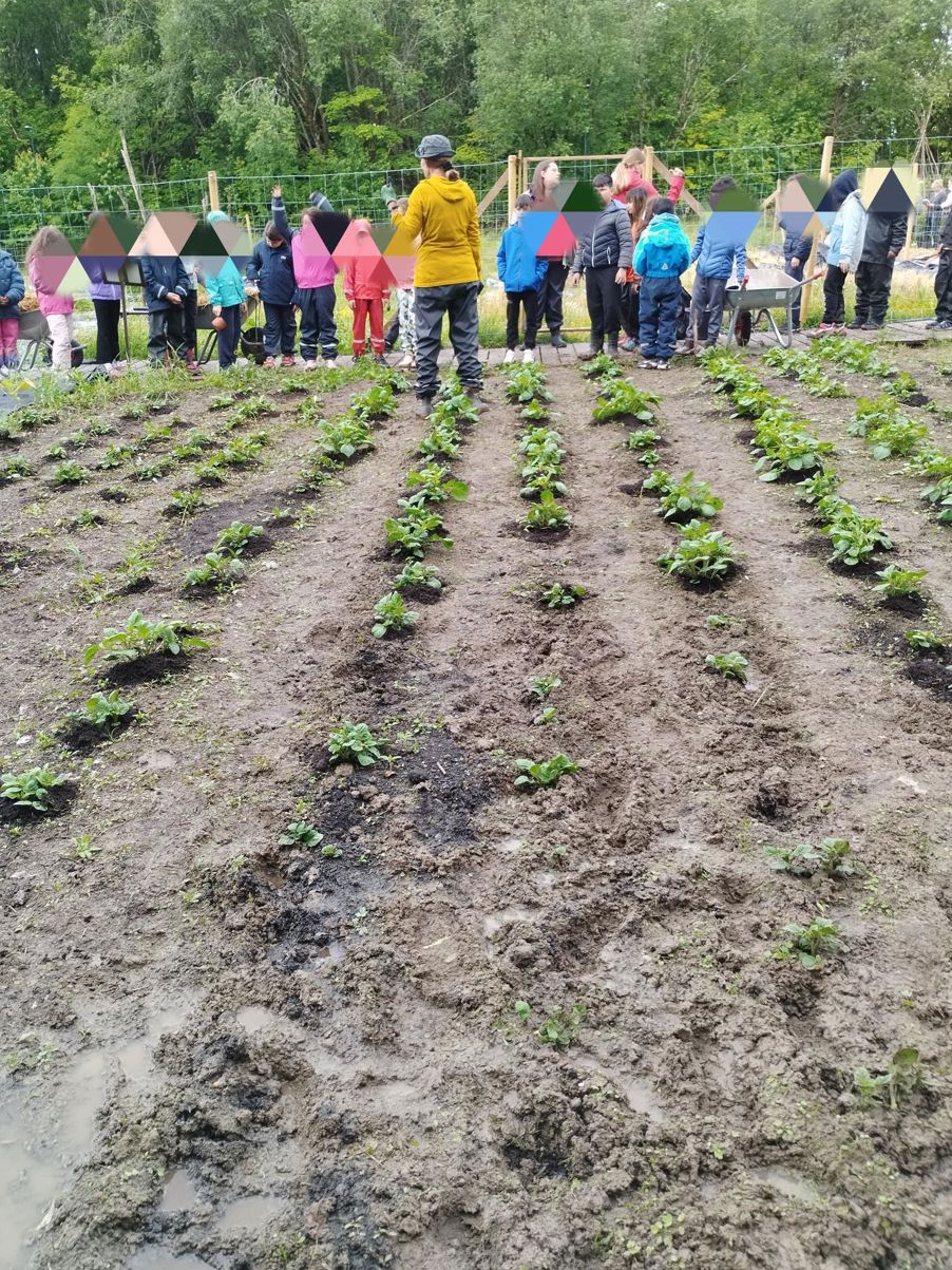 en gruppe mennesker som står på et jorde