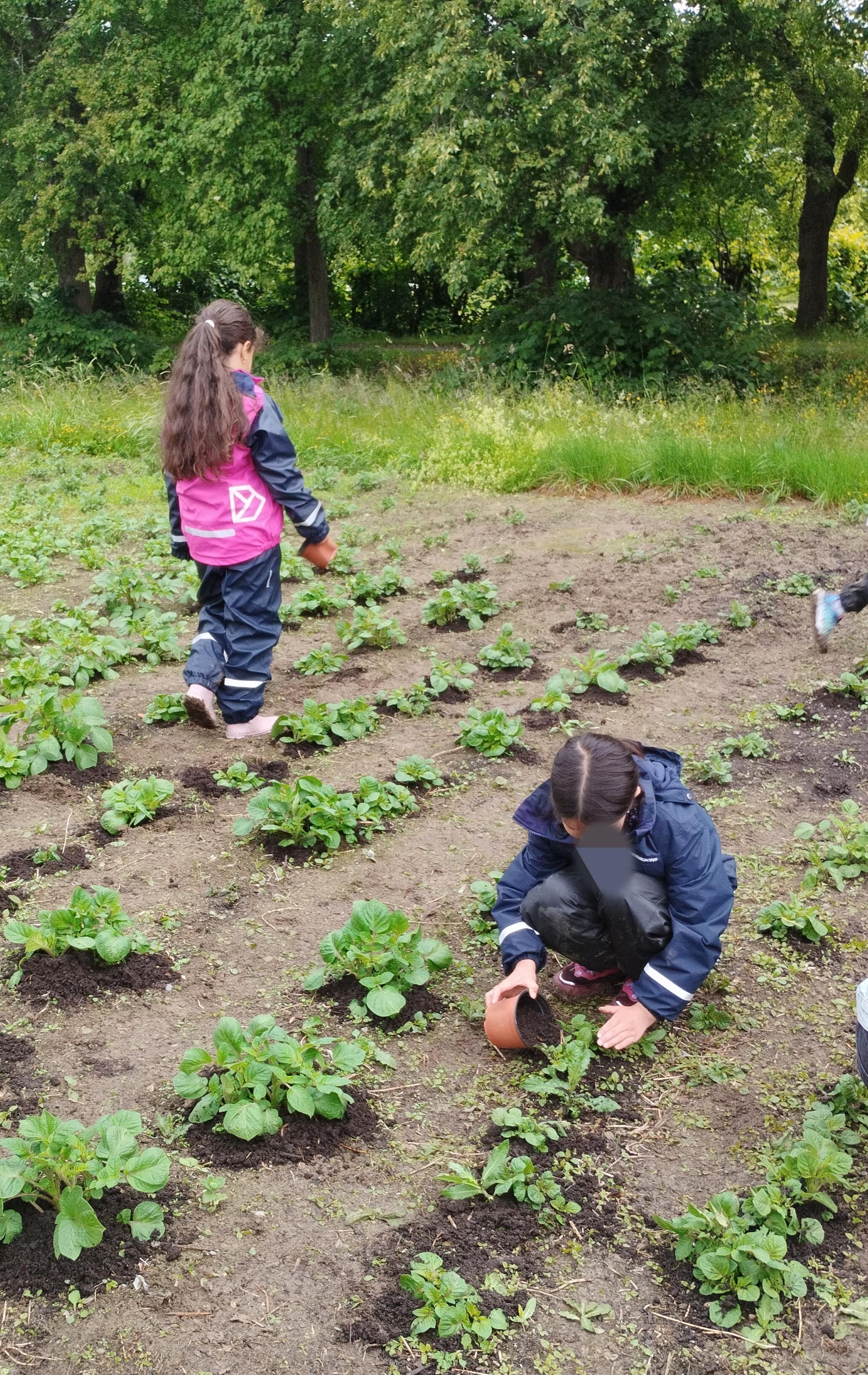 Et par barn i en hage