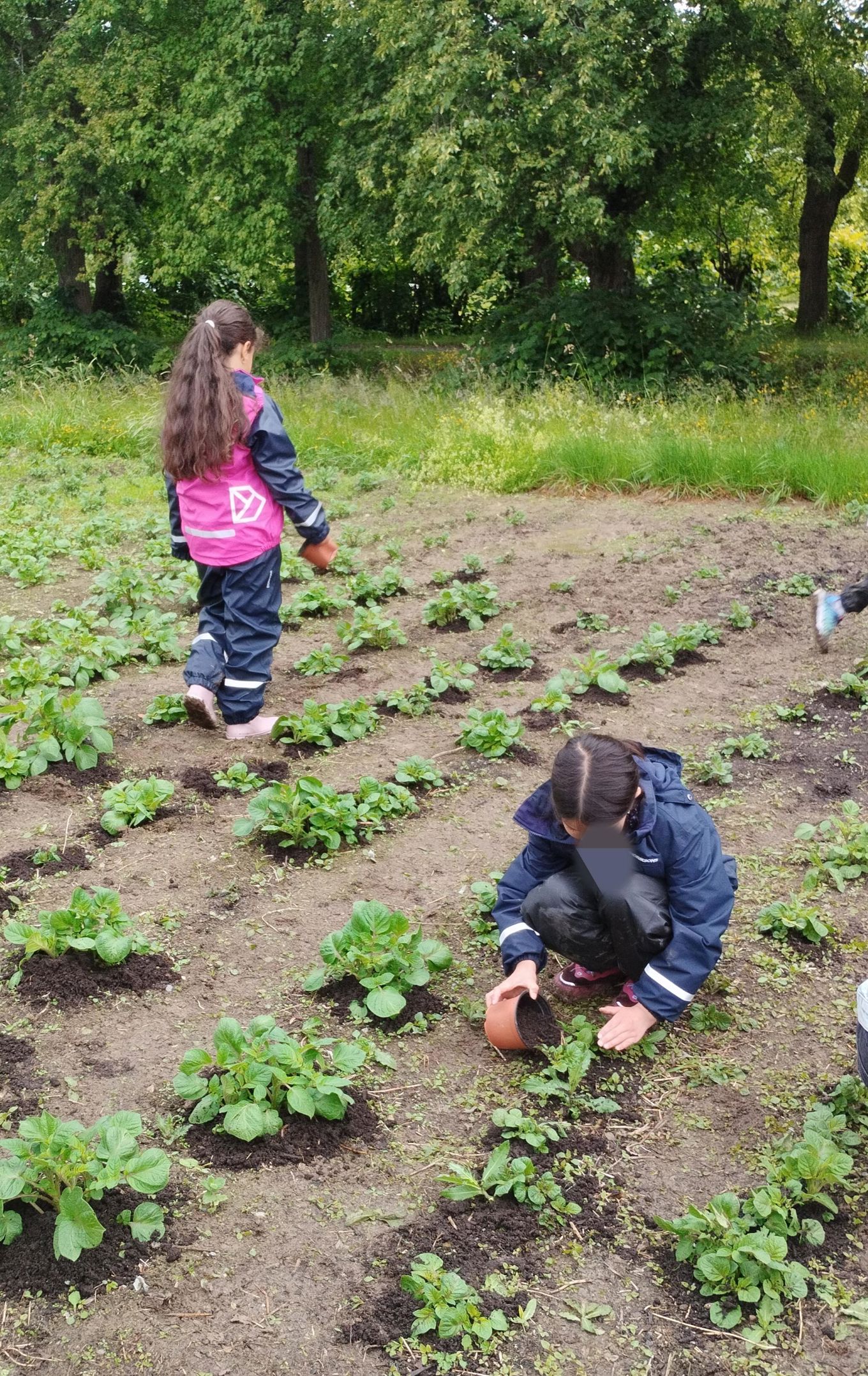 Et par barn i en hage