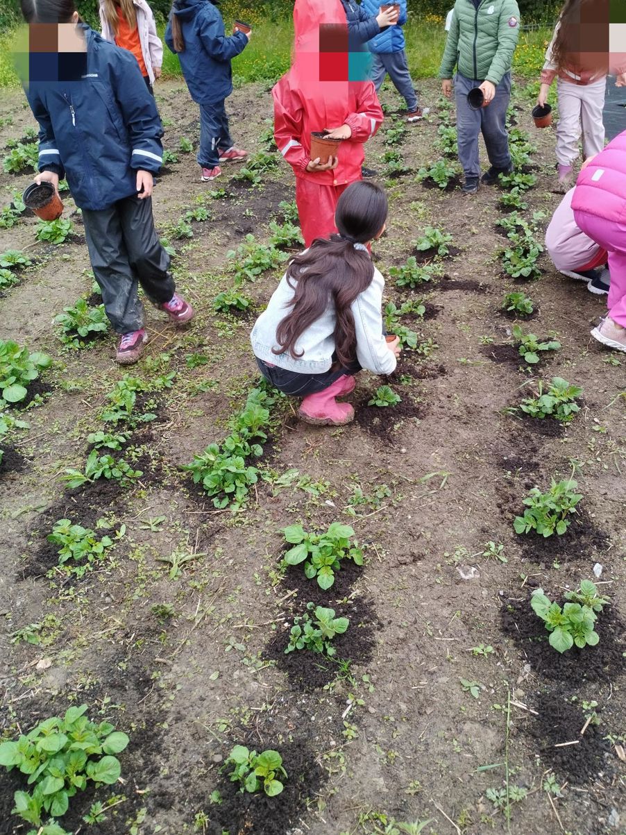 en gruppe mennesker som planter planter