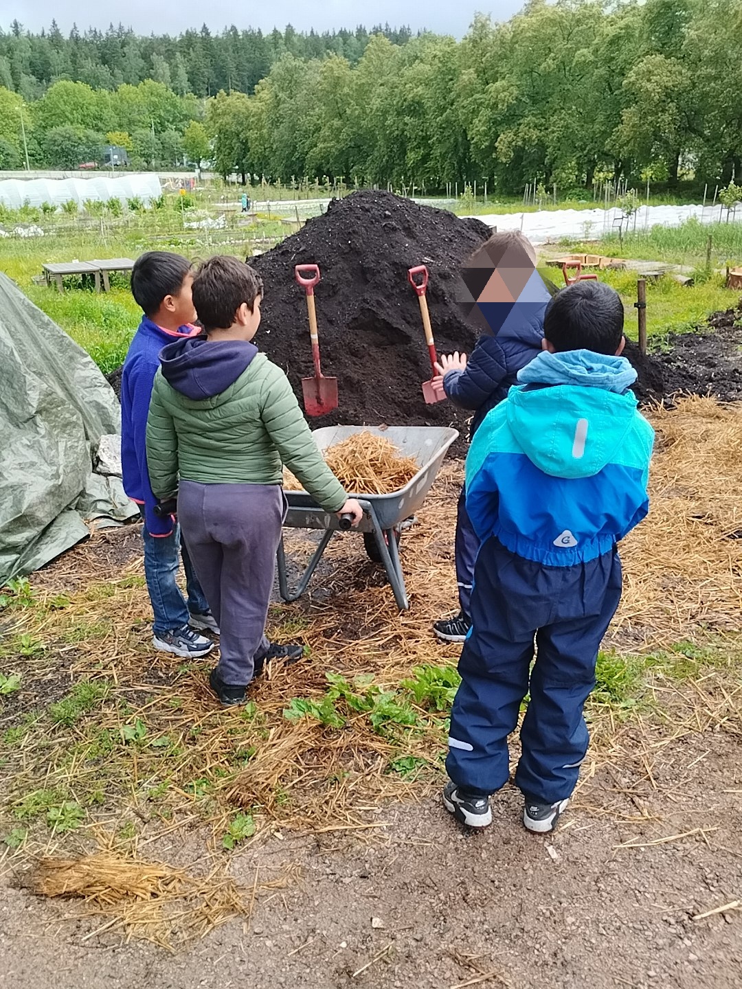 en gruppe barn som graver