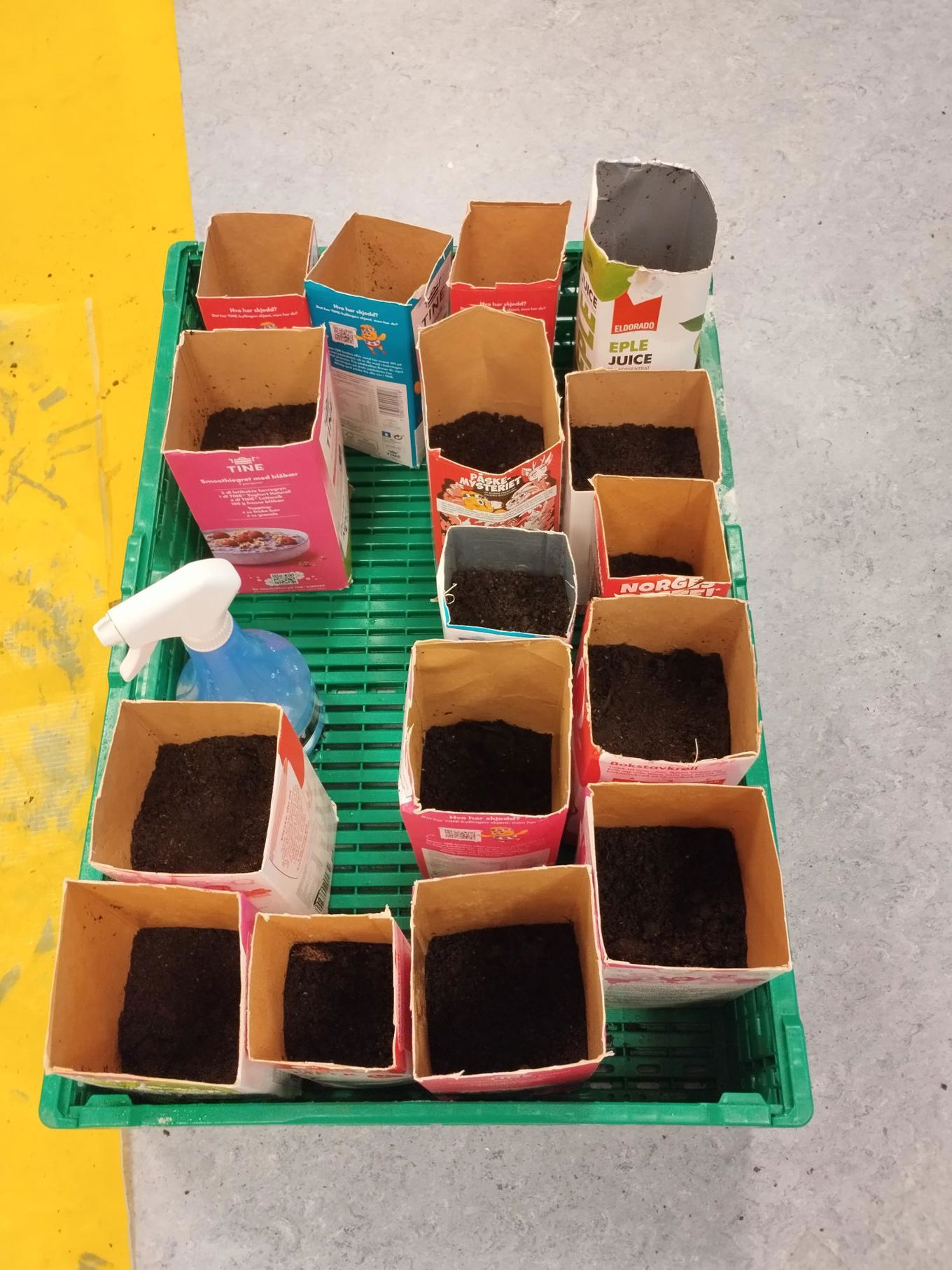 En gruppe fargerike pakker En gruppe fargerike pakker